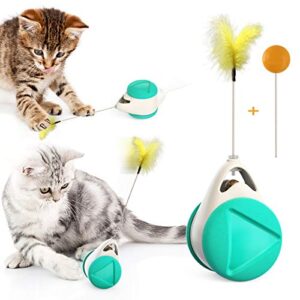 Balance Swing Car – Juguete Interactivo para Gatos